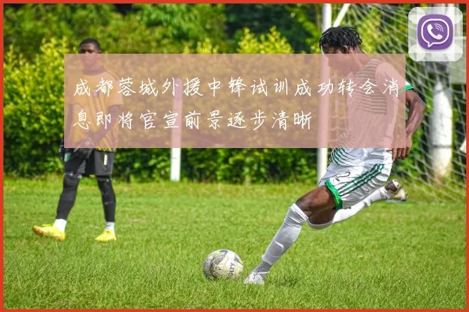 成都蓉城外援中锋试训成功转会消息即将官宣前景逐步清晰